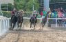 Palio di Piancastagnaio 2019: la fotogallery della prova di questa mattina
